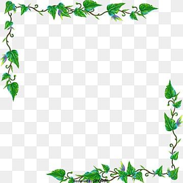 vine clipart,vine,green,flower,creepers,flower clipart,border clipart,green clipart,flower clipart outline,ornament,decor,background,plant,nature,info,illustration,gardening,eps,foliage,label,ecology,eco,design,isolated,abstract,line,material,natural,decoration,planking,set,sign,spring,various,vector,vintage,wood,decorative,climber,cute,leaf,flora,floral,grapes,leaves,liana,pattern,strip,tiles,wallpaper,frame,signboard,creeper,banner,billboard,board,border Vines Border, Vine Clipart, Green Png, Wedding Borders, Vine Border, Frame Ideas, Tile Wallpaper, Creative Background, Clip Arts