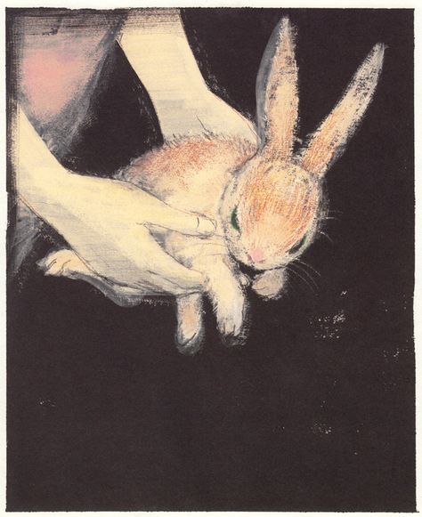 Komako Sakai, The Velveteen Rabbit, 동화 삽화, Velveteen Rabbit, Rabbit Illustration, Rabbit Art, Bunny Art, Arte Inspo, Childrens Illustrations