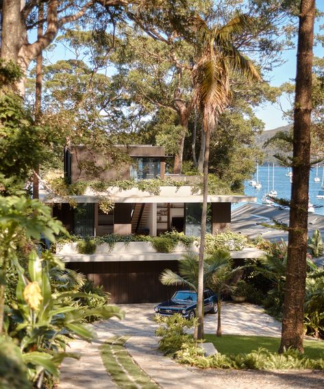 Concrete Home Design, Modernist Home, California Bungalow, 1950s House, Timber Ceiling, Concrete Home, Landscape Construction, Victorian Cottage, Open Plan Living