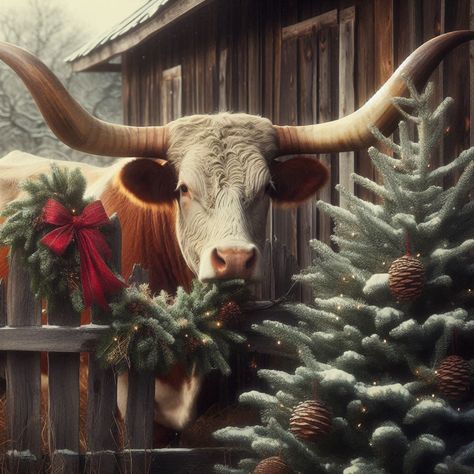 Cowgirl Christmas, Christmas Blessings, Jolly Christmas, Holly Jolly, Cow, Christmas, Animals