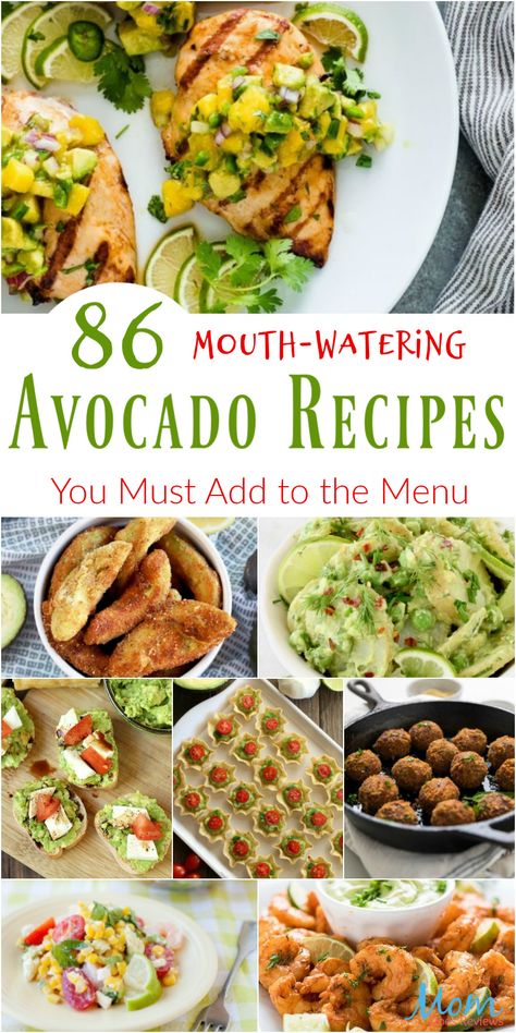 Avocado Food, Recipes Avocado, Avocado Dessert, Menu Recipes, Stuffed Avocado Healthy, Eggplant Recipes, Recipe Roundup, Avocado Recipes, Healthy Nutrition