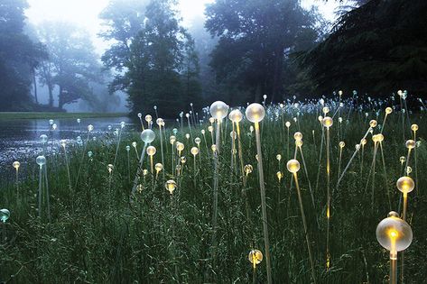 Bruce Munro lights up the Atlanta Botanical Garden with miles of fiber optics - Atlanta Magazine Eco Architecture Green Building, Bruce Munro, Led Light Installation, Tattoo Plant, Landscape Lighting Design, Atlanta Botanical Garden, Led Flower, Eco Architecture, Longwood Gardens