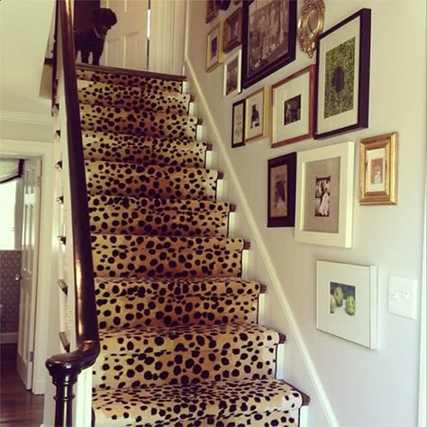 Cheetah Carpet, Den Addition, Stairway Rug, Leopard Carpet, Erin Gates Design, Stairs Carpet, Stair Art, Staircase Runner, Entry Stairs