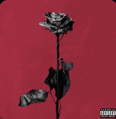 #music #cover #poster #aesthetic #blackbear Dead Roses, Roses, Red, Black