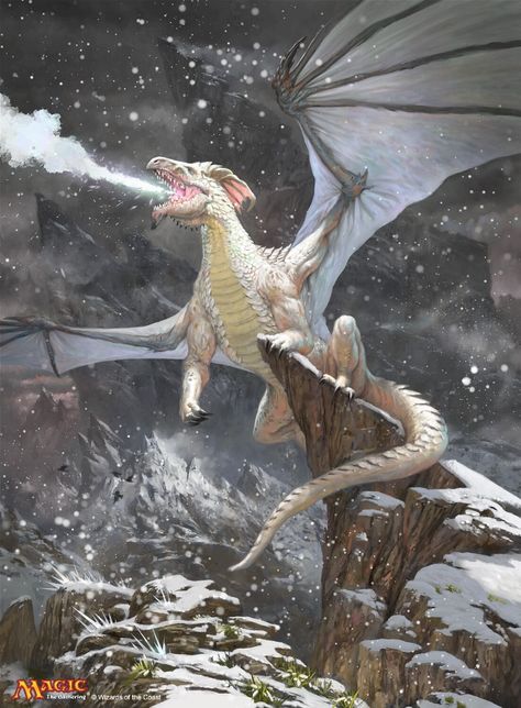 ArtStation - White Dragon (MtG), Simon Dominic Brewer Dragon Story, Dnd Creatures, Mardi Gras Decor, Fantasy Dragons, Dragon Artwork Fantasy, Dnd Dragons, Dragon Stuff, Here Be Dragons, Contemporary Fantasy