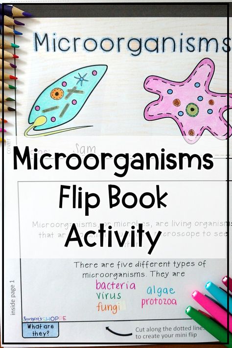 Microorganisms for kids | Use this project to review the types of microorganisms with your grade 4, 5, and 6 science students. Use your biology notes to fill in information about bacteria, virus, fungi, algae, and protozoa. #biology #microorganism #5thgradescience Microorganisms Notes, Microorganisms Project, Microorganisms Art, Types Of Microorganisms, Esl Materials, Life Science Activities, Science Anchor Charts, Biology Resources, Middle School Lessons