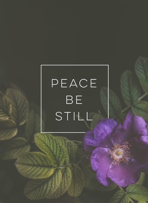 "Peace! Be still!" - Mark 4:39 Peace Be Still Wallpaper, Peace Be Still Quotes, Exams Motivation, Be Still Quotes, Peace Be Still, Choose Peace, God Speaks, Inspired Quotes, Christian Wallpapers