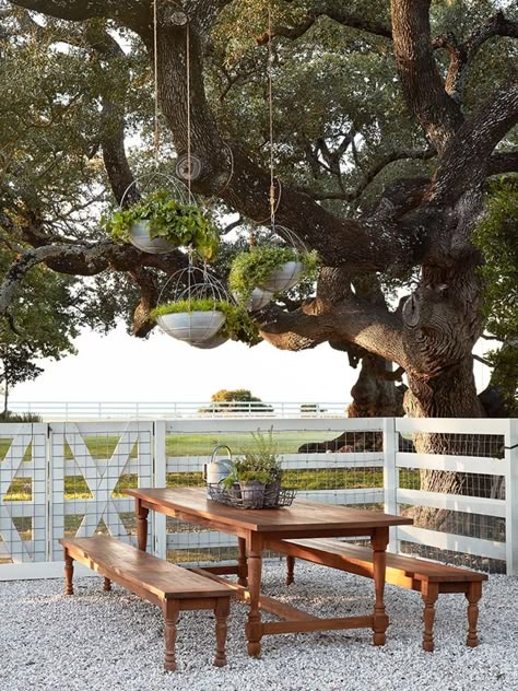 Take a peek into Joanna's getaway, complete with raised beds, a chicken coop, and a multipurpose garden house. #joannagaines #gardening Joanna Gaines Garden, Outdoor Garden Decor Ideas, Horse Arena, White Fence, Farmhouse Outdoor, Horse Stable, Old Farm Houses, Farmhouse Garden, Have Inspiration