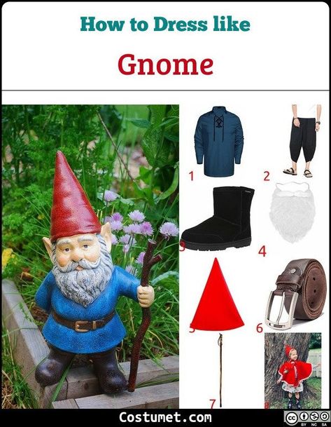 Mens Gnome Costume, Gnome Cosplay, Mushroom Costumes, Garden Gnome Halloween Costume, Beard Halloween Costumes, Holiday Boards, Male Cartoon, Gnome Costume, Beard Costume