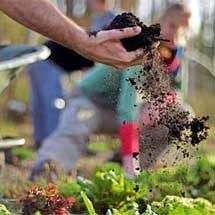 garden. Healthy Garden Soil, Garden Soil Preparation, Garden Preparation, Compost Soil, Natural Resource, Fall Vegetables, Organic Vegetable Garden, Organic Soil, Healthy Garden