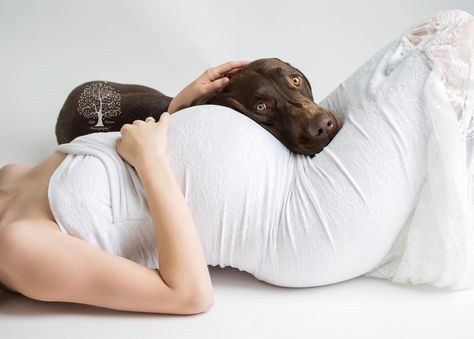 Dog And Pregnant Belly Photo Ideas, Dog And Pregnant Belly, Maternity Poses With Dog, Maternity Shoot With Dog, Maternity Photos With Dog, Baby Belly Pictures, Pregnancy Bump Photos, Maternity Photography Winter, Home Maternity Photography