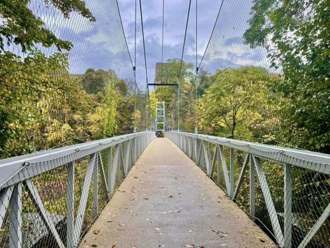 Fall Creek Gorge – Ithaca, NY | Adventures in New York Ithaca Falls, Ithaca New York, Trail Dog, Forest Falls, Fall Creek, Ithaca Ny, Stone Stairs, Falls Creek, Take The Stairs