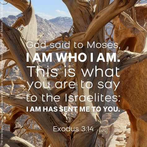 God said to Moses, “I AM WHO I AM. This is what you are to say to the Israelites: ‘I AM has sent me to you.’ ” Exodus 3:14 Exodus 3, Verses Wallpaper, Prayer Warrior, Bible Verse Wallpaper, Books Of The Bible, Christian Quotes, Gods Love, Words Of Wisdom, Verses