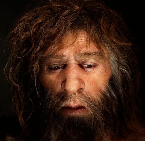 Prehistoric Man, Human Genome, Human Evolution, Early Humans, Human Species, Anthropology, Ancient History, Scientists, Archaeology