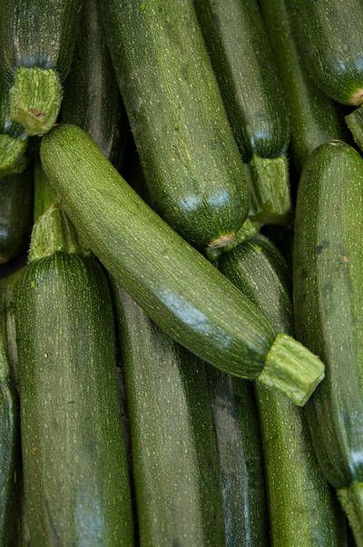 Zucchini Zucchini Trellis, Growing Squash, Growing Zucchini, Zucchini Plants, Squash Plant, Zucchini Flowers, Alkaline Diet Recipes, Zucchini Squash, Old Farmers Almanac