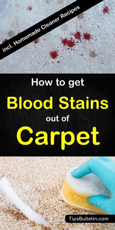 How Blood Out Of Carpet, Stains Out Of Carpet, Get Blood Stains Out, Homemade Carpet Cleaner, Diy Stain Remover, Carpet Diy, Clean Baking Pans, Diy Staining, Carpet Cleaner Homemade