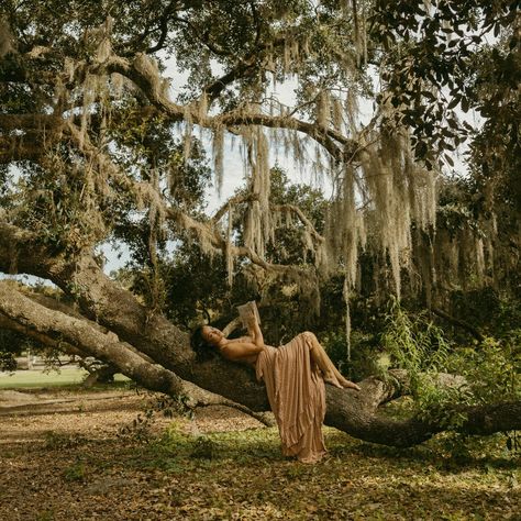 a walk in singleness / the face of an angel Budior Photoshoot, Spanish Moss Trees, Boone North Carolina, Photoshoot Outdoor, Film Music, Cinema Film, Outdoor Photoshoot, Our Father, Spanish Moss