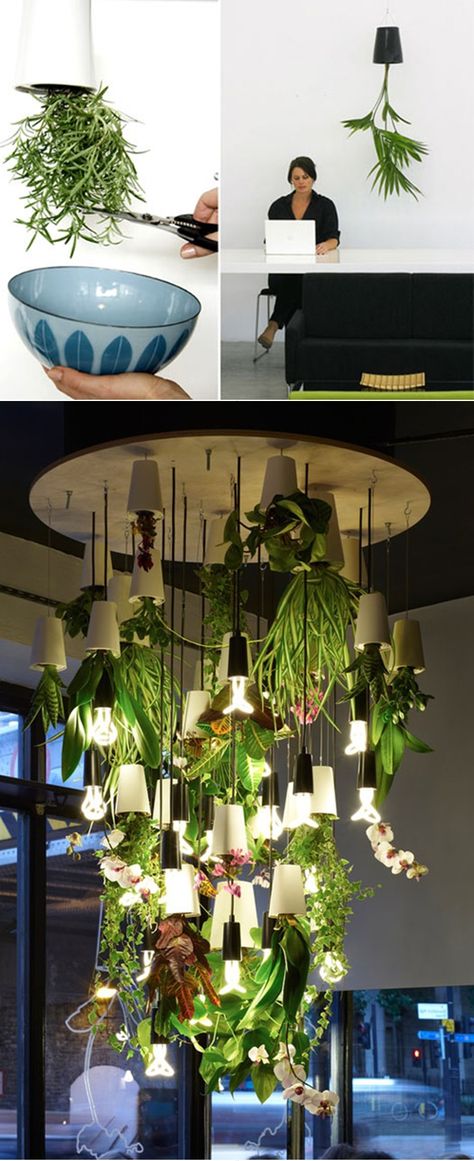 Grow Indoor Plants Upside Down Tutorial Upside Down Plants, Hanging Herbs, Planter Project, Planter Design, Plant Stand Indoor, Hydroponic Gardening, Hanging Pots, Plant Shelves, Cool Ideas