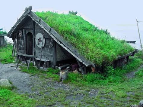 Viking Houses, Vikings Art, Primitive Houses, Viking House, Goat House, Viking Life, Green Roofs, Viking History, Viking Age