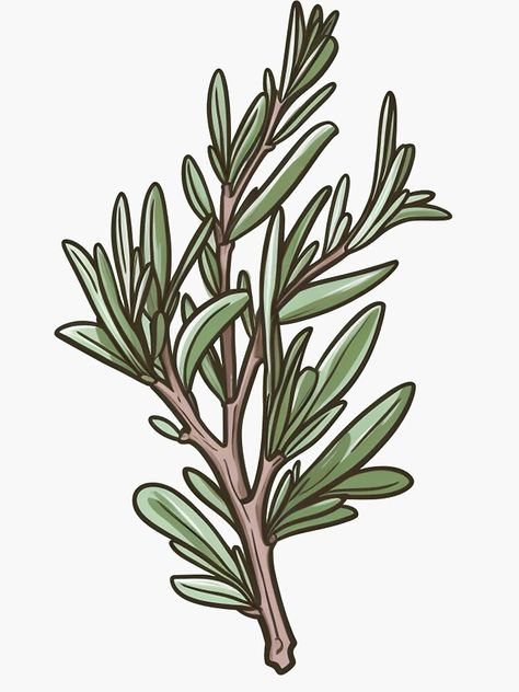 "Vibrant Rosemary illustration for Gardening Enthusiasts " Sticker for Sale by Stickerharvest Rosemary Illustration, Rosemary Herb, Spooky Vibes, Garden Spaces, Life Changing, Character Illustration, Rosemary, Decorative Pieces, Sticker Design