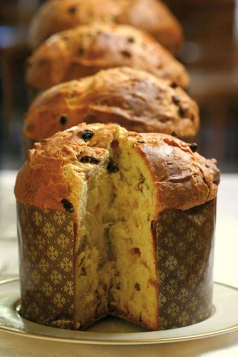 Pan dulce: una receta clásica (y económica) para compartir en la mesa navideña - La 100 Simple Sweet Bread Recipe, Italian Christmas Bread, Panettone Bread, Panettone Recipe, Christmas Bread, Bread Recipes Sweet, Easy Bread Recipes, Pan Bread, Sweet Bread