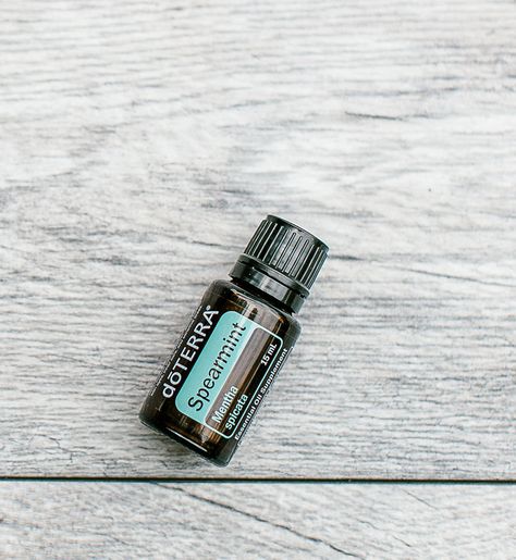 Spearmint Essential Oil Uses, Benefits, and Recipes - XO, Tara Wagner Spearmint Oil Benefits, Homemade Toothpaste, Spearmint Essential Oil, Oil Benefits, Oil Uses, Essential Oil Uses, Essential Oil Recipes, Carrier Oils, Oil Recipes