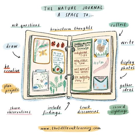 Paper Craft Journal, What Is A Journal, Journal Ideas Nature, Fun Journaling Ideas, Everything Journal Ideas, Nature Journaling Ideas, Nature Journal Inspiration, How To Nature Journal, Nature Journal Ideas