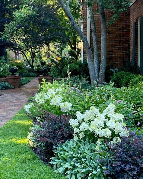 The_Psychiatrist’s_Garden | Last nights evening garden walk. The front sun bed is filling in; still waiting on the coneflowers & dahlias. I’m loving it so far. Bobo… | Instagram Hydrangea Combinations, Hydrangea Garden Bed, Tiny Backyard Oasis, Bobo Hydrangeas, Full Sun Hydrangea, Side Yard Landscape, Bobo Hydrangea, Blue Salvia, Globe Thistle