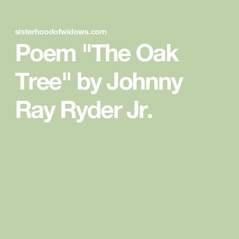 Poem "The Oak Tree" by Johnny Ray Ryder Jr. The Oak Tree Poem, Oak Tree Poem, Tree Poem, Root Stretch, Womens Bible, Reflection Quotes, Womens Bible Study, Poems Beautiful, Oak Tree