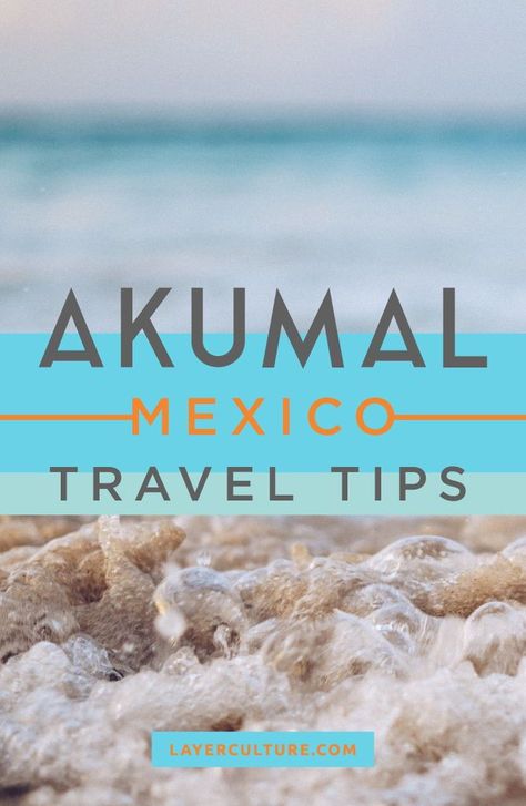 Akumal Mexico Things To Do, Mexico Vacation Spots, Mexico Trips, Akumal Beach, South America Travel Photography, South America Travel Itinerary, Akumal Mexico, Mexico Itinerary, South America Travel Destinations