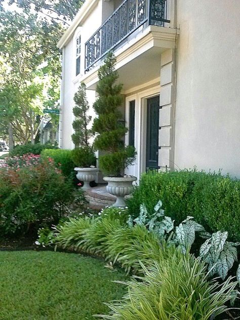 Creative Landscape Ideas with Big Impact Boxwood Shrubs, Boxwood Landscaping, Yard Landscape, Creative Landscape, Grasses Landscaping, Front Landscaping, Garden Shrubs, Have Inspiration, Home Landscaping