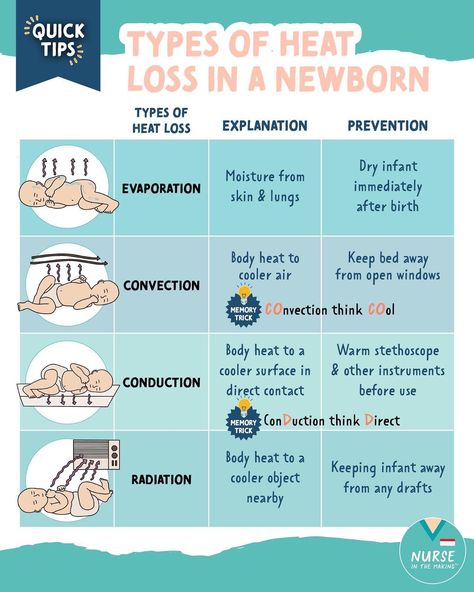 Postpartum Nursing Notes, Maternal Newborn Nursing, Nicu Nursing Education, Nicu Nurse Education, Pediatric Nursing Study, Nursing School Prep, Pediatric Medicine, Postpartum Nursing, Newborn Nursing