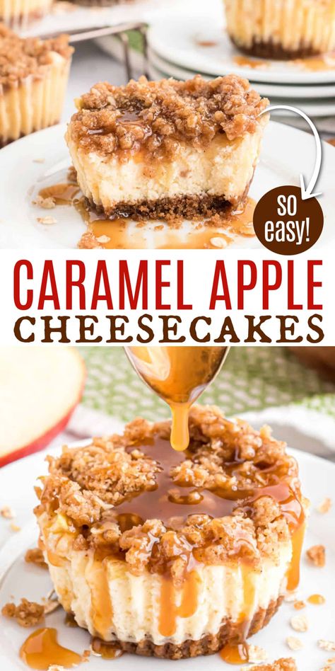 Mini Caramel Apple Cheesecakes are delicious, individual cheesecakes with a brown sugar streusel and caramel glaze. Easy to make too! Caramel Apple Mini Cheesecakes, Mini Caramel Apple Cheesecake, Caramel Apple Cheesecake Cups, Apple Cheesecake Cupcakes, Mini Apple Cheesecake, Carmel Desserts, Caramel Apple Cheesecake Recipes, Apple Cheesecake Recipes, Bake Cheese