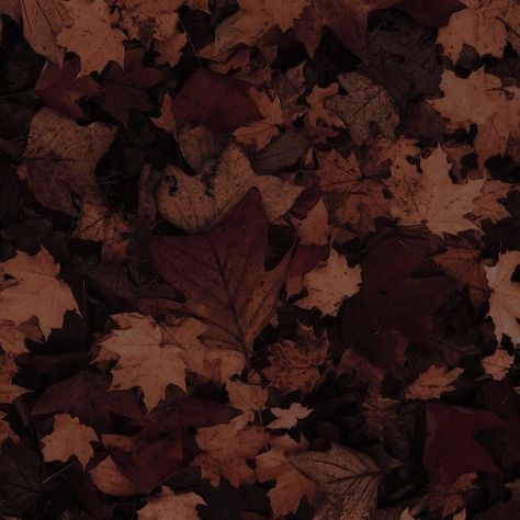 Dark Brown Nature Aesthetic, Umber Aesthetic, Brown Forest Aesthetic, Aesthetic Autumn Leaves, Dark Academia Widget, Crochet Instagram, Molduras Vintage, Fall Mood Board, Aesthetic Shorts