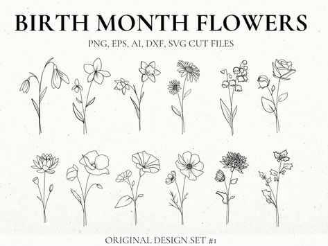 Detailed Birth Flowers Set 1 by Rebecca Wasserberg November Flower, December Birth Flower, Flower Bouquet Tattoo, July Birth Flower, June Birth Flower, January Birth Flowers, May Birth Flowers, Wildflower Tattoo, Birth Flower Tattoos