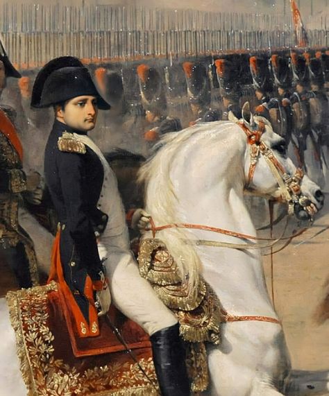 Historian Aesthetic, Napoleon Painting, Aesthetic Art Wallpaper, Art Wallpaper Aesthetic, Napoleon Movie, Napoleon French, First French Empire, History Aesthetic, Beautiful Arabian Horses