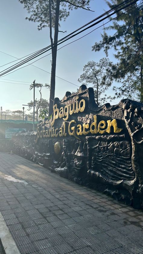 Botanical Garden, Baguio City Baguio Botanical Garden, Baguio City Photography Landscape, Baguio City Aesthetic, Baguio Philippines Aesthetic, Baguio Aesthetic, Baguio City Photography, Philippines Baguio, Philippines Aesthetic, Solo Life