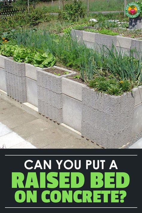 Should you put a raised bed on concrete? We explore whether this is right for you and how to set yours up for garden success. Raised Bed On Concrete, Raised Beds On Concrete, Raised Garden Beds On Concrete Patio, Concrete Raised Garden Beds, Raised Veg Beds, Raised Garden Bed Soil, Raised Bed Garden Layout, Stone Raised Beds, Backyard Hacks