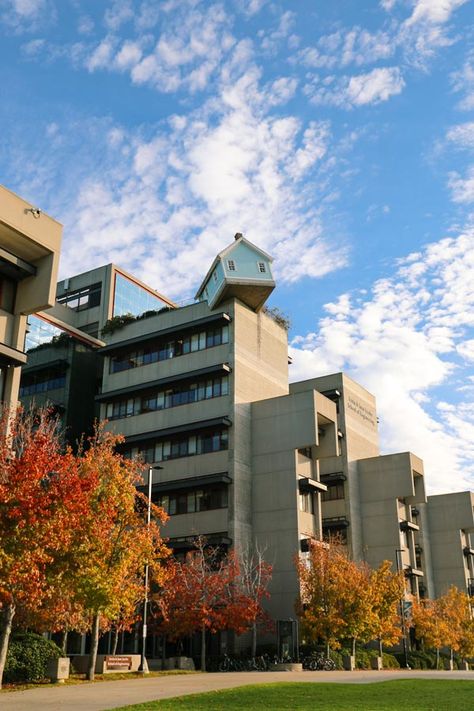 Uc San Diego Aesthetic, Life Aspirations, Future University, San Diego Gaslamp, University Of California San Diego, Uc San Diego, Do Ho Suh, Fallen Star, University Of San Diego