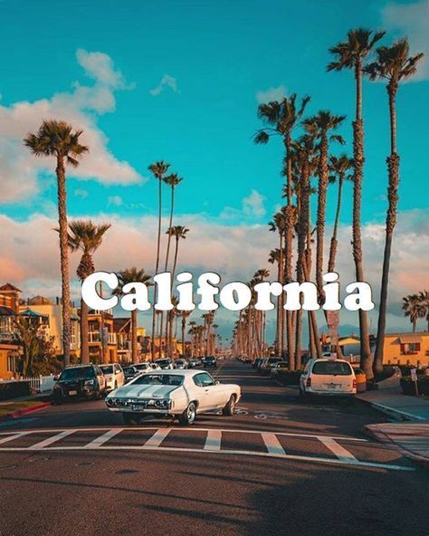 Find Entertainment , Dining, Travel, Real-estate and more to do in California Rialto California, Los Angeles California Photography, America Flag Wallpaper, Los Angeles Wallpaper, Los Angeles Aesthetic, California Aesthetic, Georgina Rodriguez, Band Photography, Aesthetic Vsco