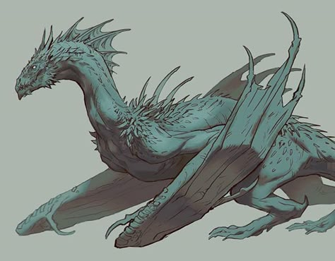 Anna Podedworna, Tiamat Dragon, Dragon Anatomy, Dragon Artwork Fantasy, Dragon Sketch, Mythical Animal, Fantasy Beasts, Creature Drawings, Dragon Pictures