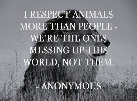 I respect animals more than people Vegan Quotes, Stop Animal Cruelty, Animal Rights, Animal Quotes, Dog Quotes, The Words, This World, Wisdom Quotes, True Quotes