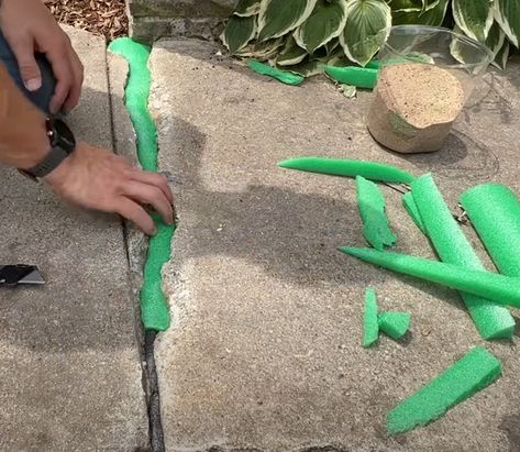 Handy man uses a pool noodle to share quick and “seamless” way to fix a crack in concrete Fix Cracked Concrete, Repair Cracked Concrete, Sidewalk Repair, Concrete Repair Products, Handy Man, Concrete Diy Projects, Pool Noodle, Pool Noodles, Concrete Projects