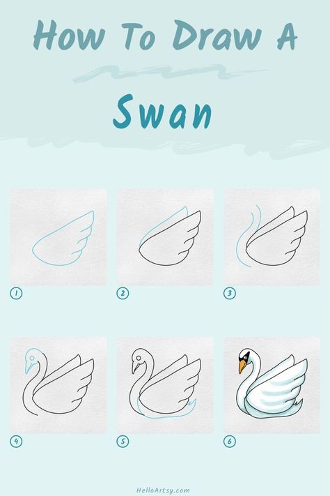 Step by step images demonstrating a How to Draw a Swan - A Drawing Tutorial for Kids! Draw A Swan, Bird Drawing For Kids, Simple Bird Drawing, Swan Drawing, Swan Painting, Tears Art, Easy Animal Drawings, How To Draw Steps, Drawing Lesson