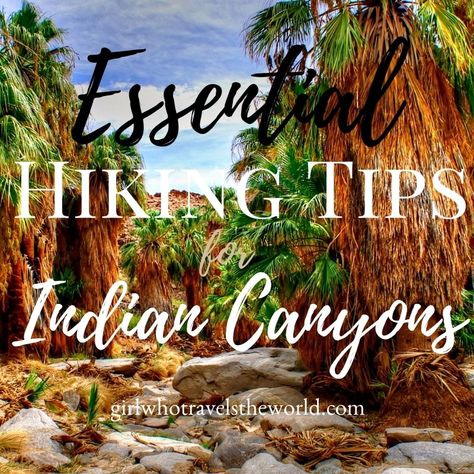 Get all the top tips for hiking in the popular Indian Canyons area of Palm Springs, California!! Hiking Palm Springs, Palm Springs Hiking Trails, Palm Springs Hiking Outfit, Indian Canyons Palm Springs, Palm Springs Hiking, Desert Travel, Palm Spring, Palm Springs California, Palm Desert