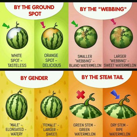 How To Pick The Right Watermelon Seeded Watermelon, Steak Doneness, Spice Combinations, Types Of Potatoes, Sweet Watermelon, Perfect Chocolate Chip Cookies, Perfect Cup Of Tea, Food Charts, Types Of Wine