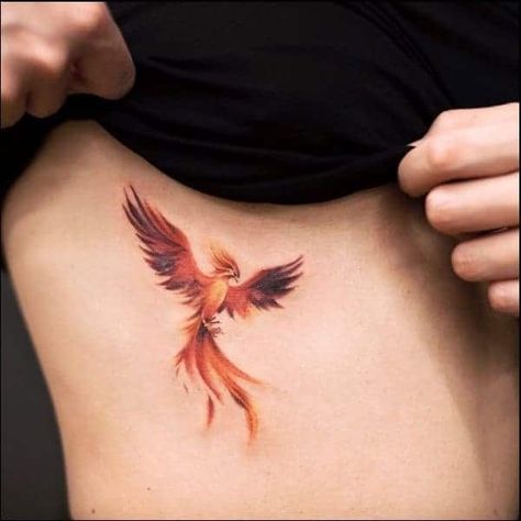 Phoenix On Fire Tattoo Feminine, Small Tattoos Phoenix For Women, Pheonix Tattoo For Women Color, Pheonix Tattoo Woman, Fire Pheonix Tattoo For Women, Small Phoenix Tattoos Behind Ear, Phönix Tattoo Design Women, Cool Phoenix Tattoo, Phoenix Tattoo With Color