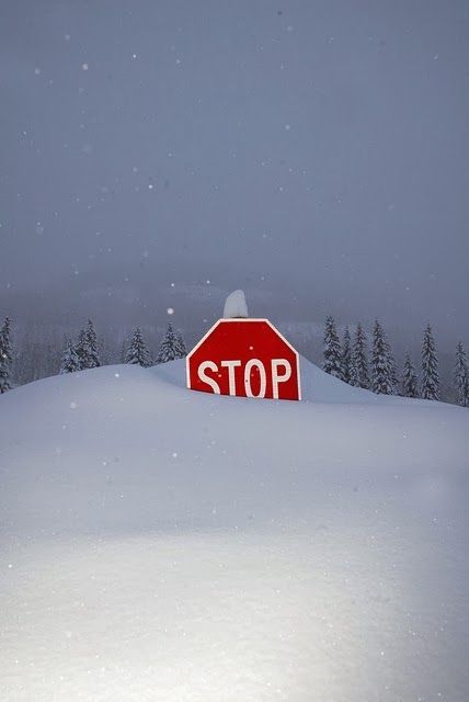 bluepueblo:  Snow Drift, Durango, Colorado photo via tammy Minnesota Nice, I Love Snow, Durango Colorado, Winter Schnee, I Love Winter, Winter Scenery, Winter Beauty, Snowy Day, Snow And Ice