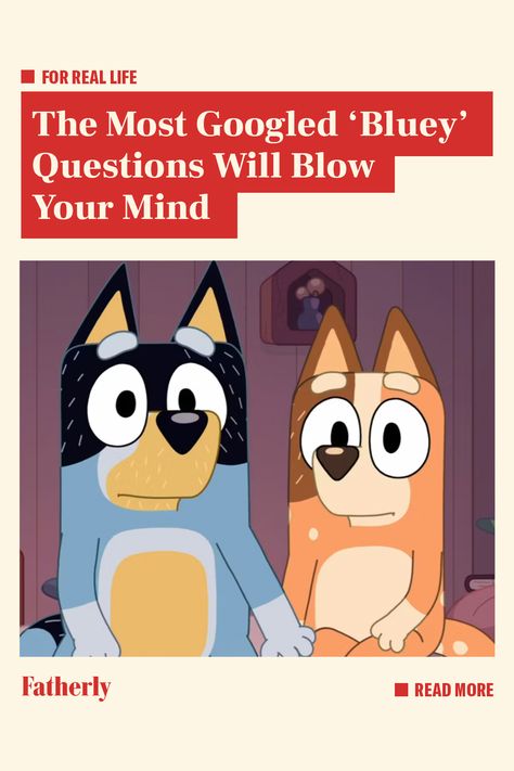 Think you know Bluey? Think again. Bluey Profile Photo, Bluey Misscarage, Serious Topics In Bluey, Bluey As A Human, Bingo Funny Bluey, Bluey Characters Future Family, Bluey Buzzfeed Quizzes, Bluey Workout, What Bluey Character Am I Quiz