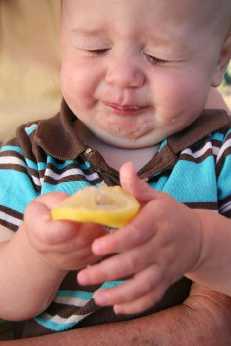 I cannot wait to catch the first lemon face! This blog has detailed photos and I love it! Lemon On Face, Kind Photo, Baby Faces, E Card, Little People, Funny Faces, Funny Babies, His Hands, Baby Pictures